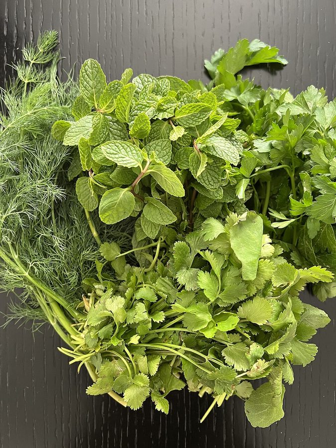 Dill (bunch)