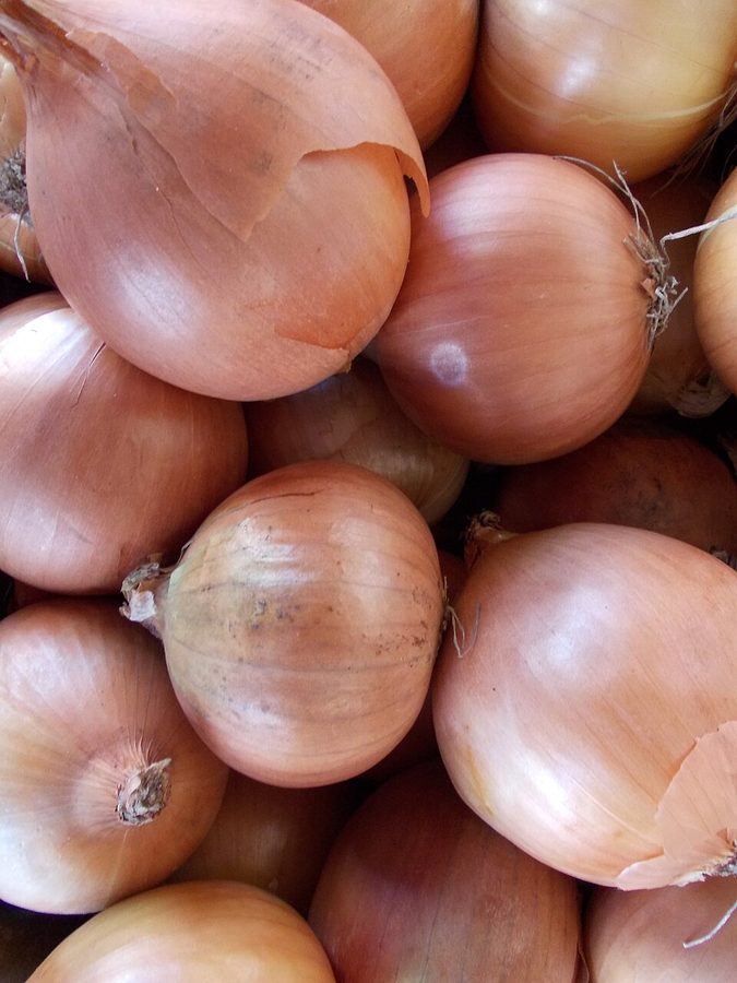 Dutch Onion Bag