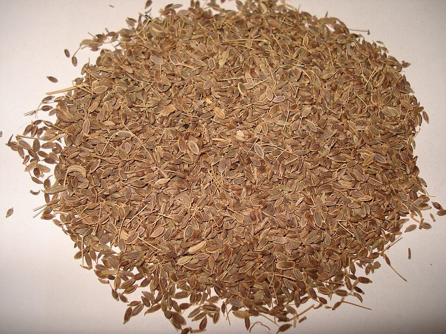 East End Dill Seeds 100g