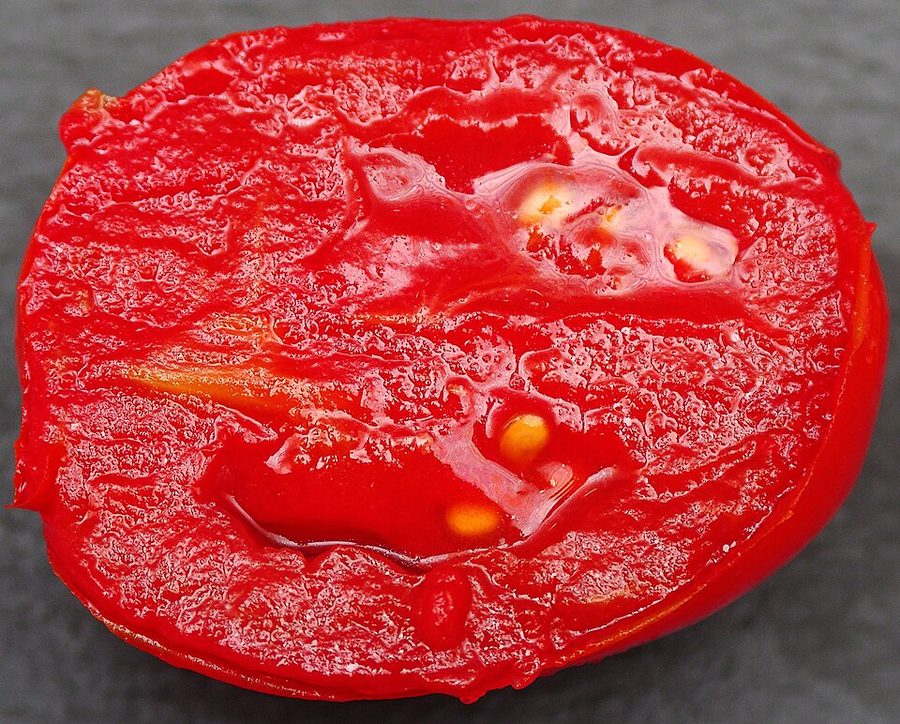 East End Plum Tomato 397g