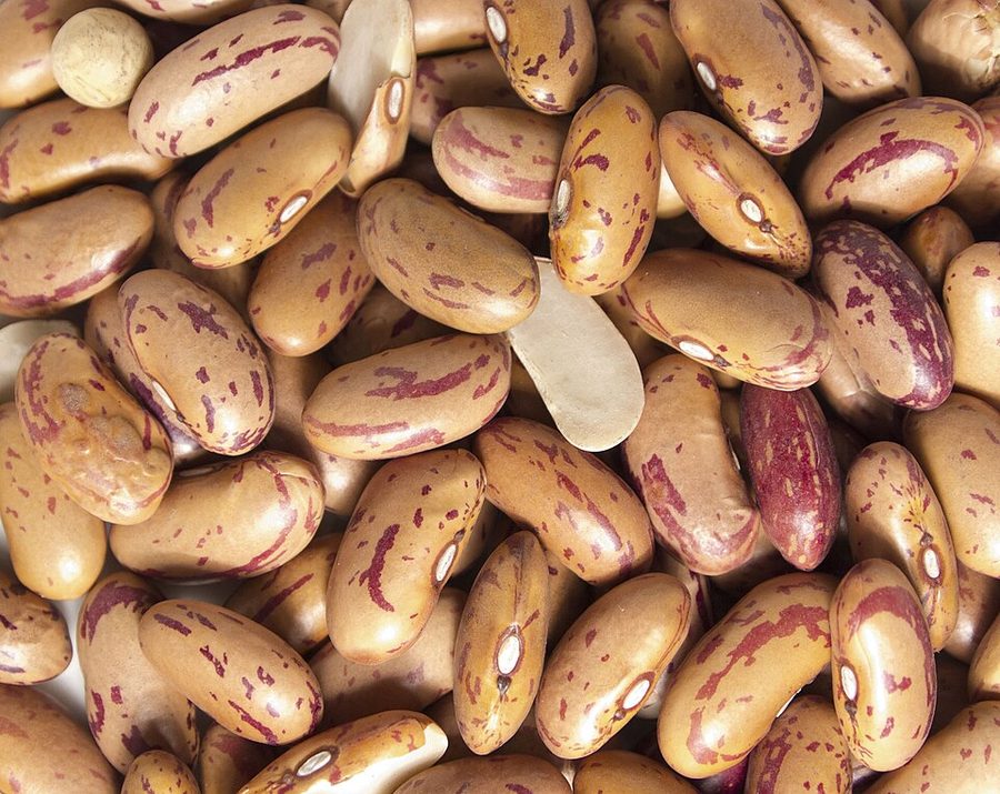 East End Rose Coco Beans 400g