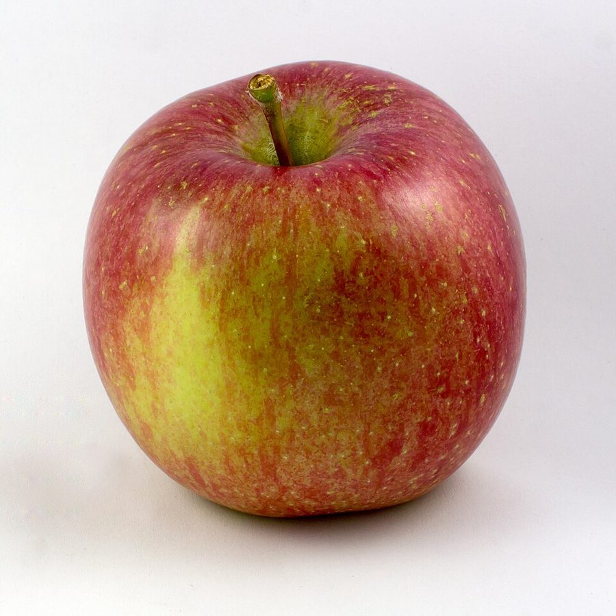 Fuji Apple