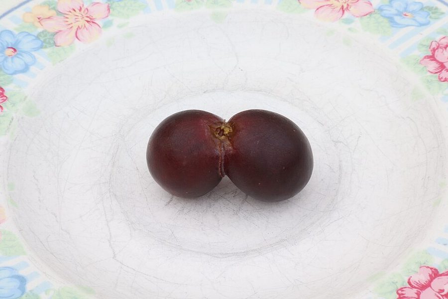 Red Grapes