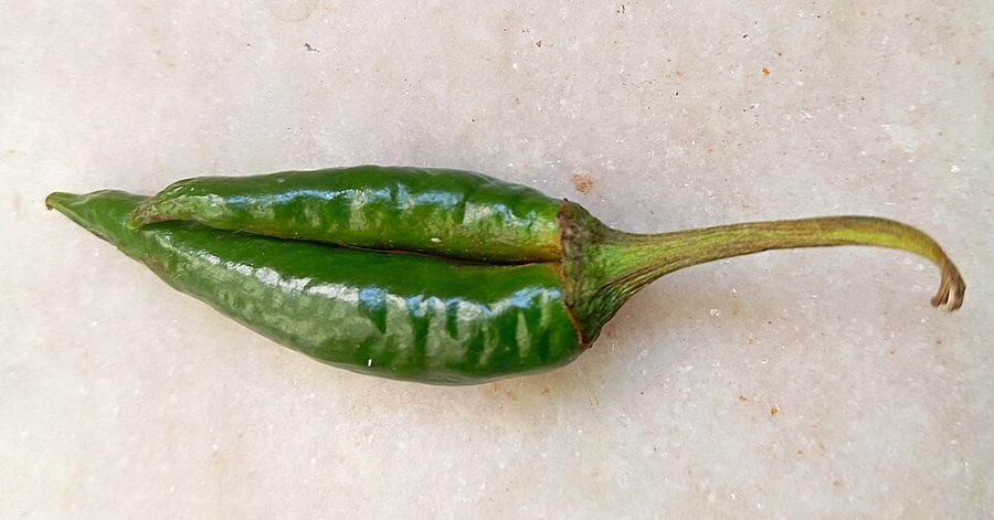 Green Chilli Long