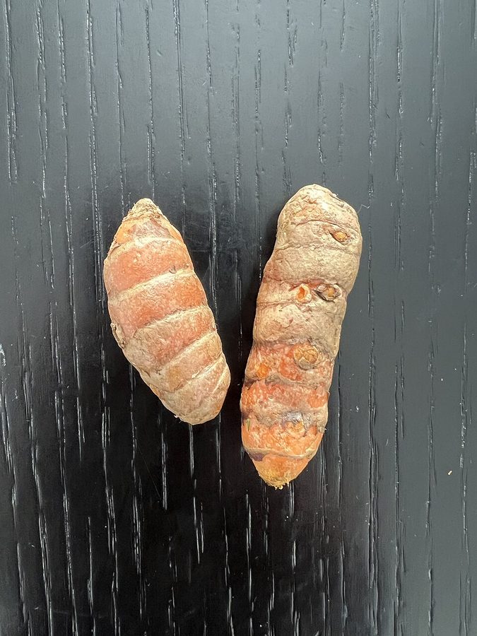 Haldi (Tumeric)