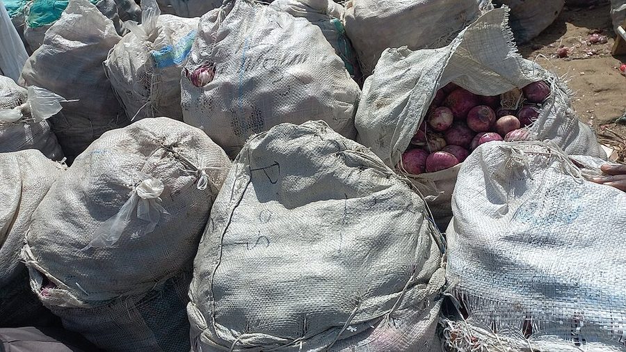 Indian Onion Bag