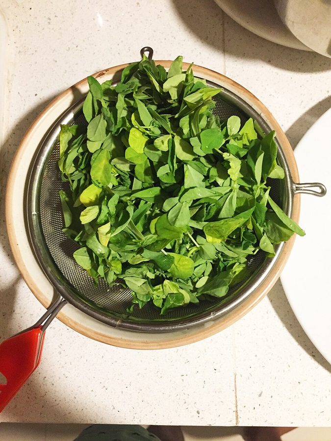 Methi (Bunch)