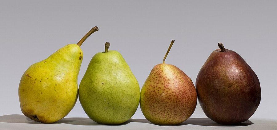 Pear Ponnet