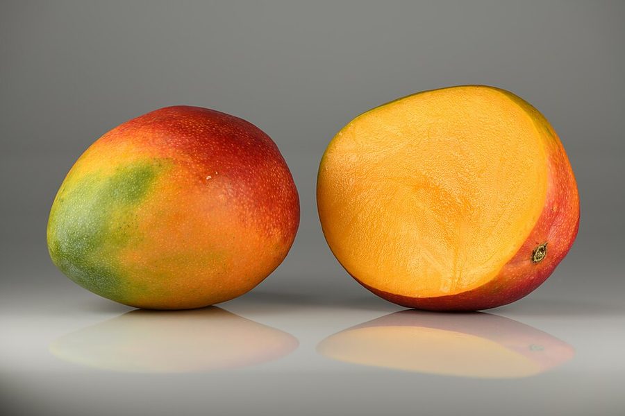 Rubicon Mango Can