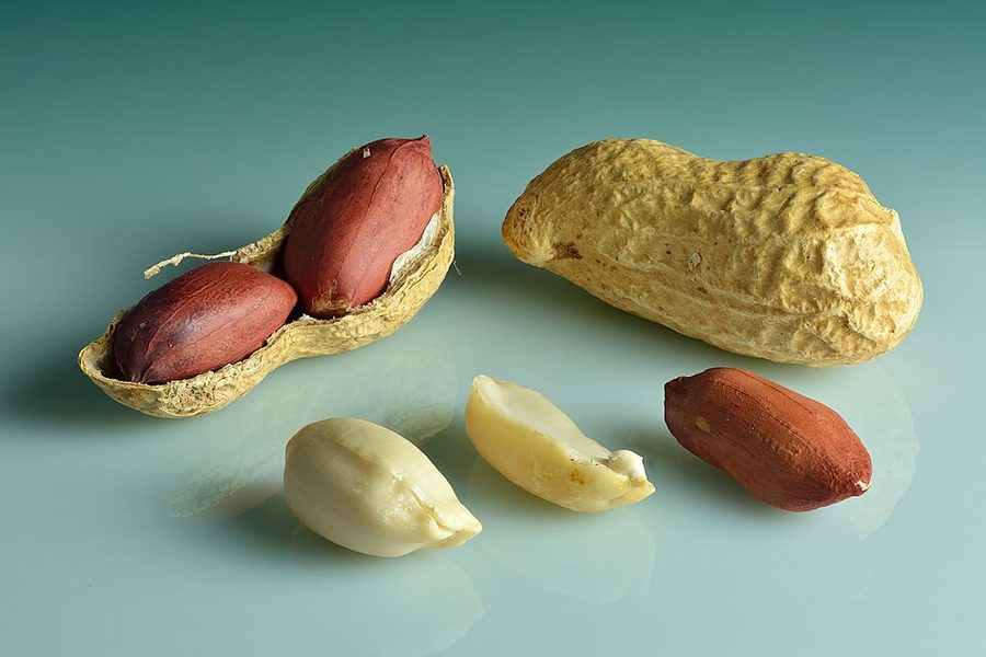 Tropical Sun Roasted & Salted Peanuts 200g